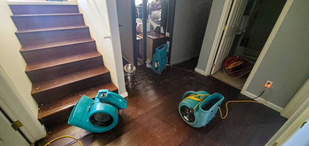 Best Basement water damage restoration  in Carpentersvle, IL