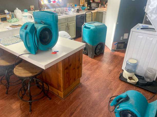 Best Residential water damage restoration  in Carpentersvle, IL