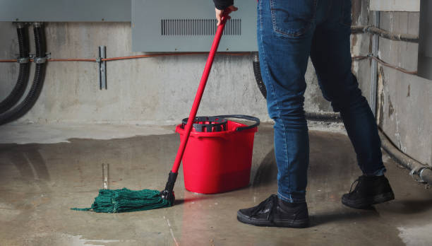 Best Emergency water extraction  in Carpentersvle, IL