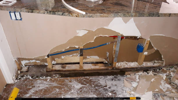 Best Water damage restoration mold remediation  in Carpentersvle, IL