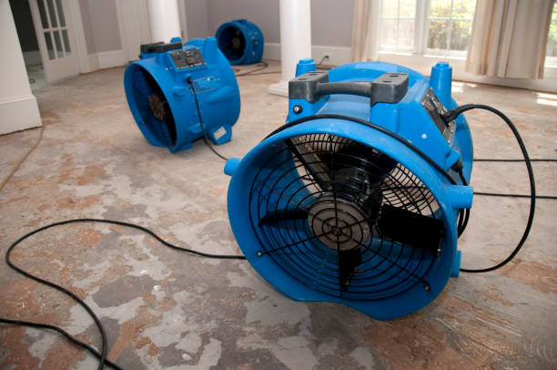 Best Emergency water damage restoration  in Carpentersvle, IL