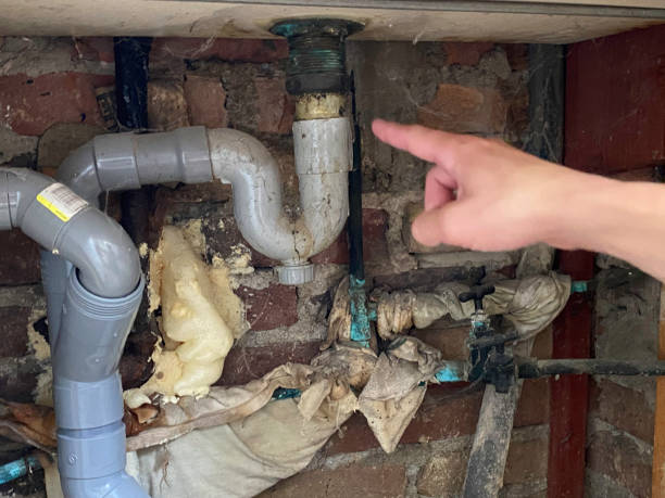 Best Water damage restoration near me  in Carpentersvle, IL